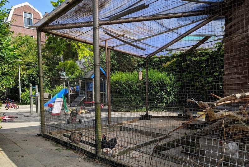 Chicken road slot, chicken road gokkast