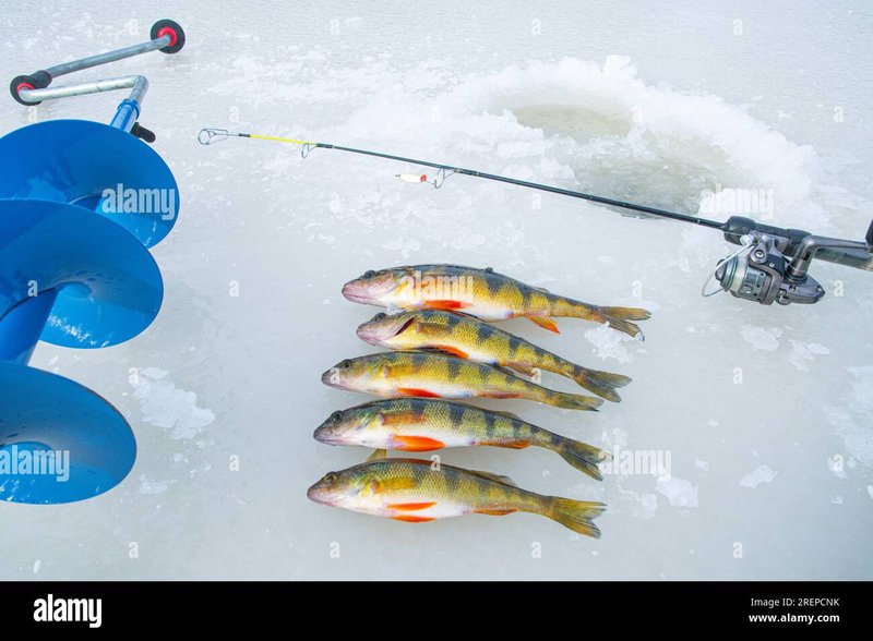 Ice fishing, ice fishing live casino