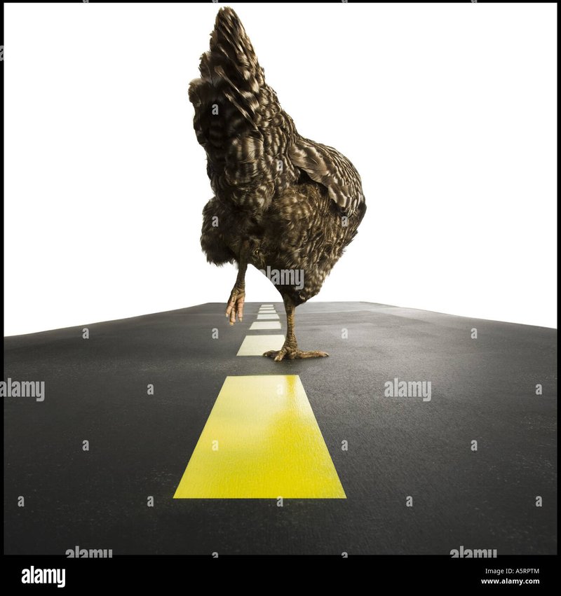 Povestea Succesului pe Chicken Road Casino din Romania, chicken road demo