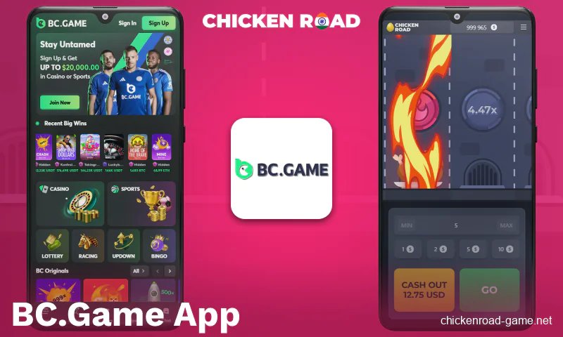 Chicken road game, chicken road online